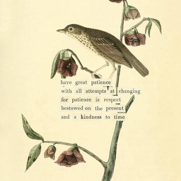 tfmelen